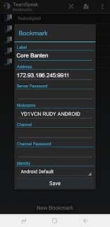 Contoh pengisian koneksi TeamSpeak